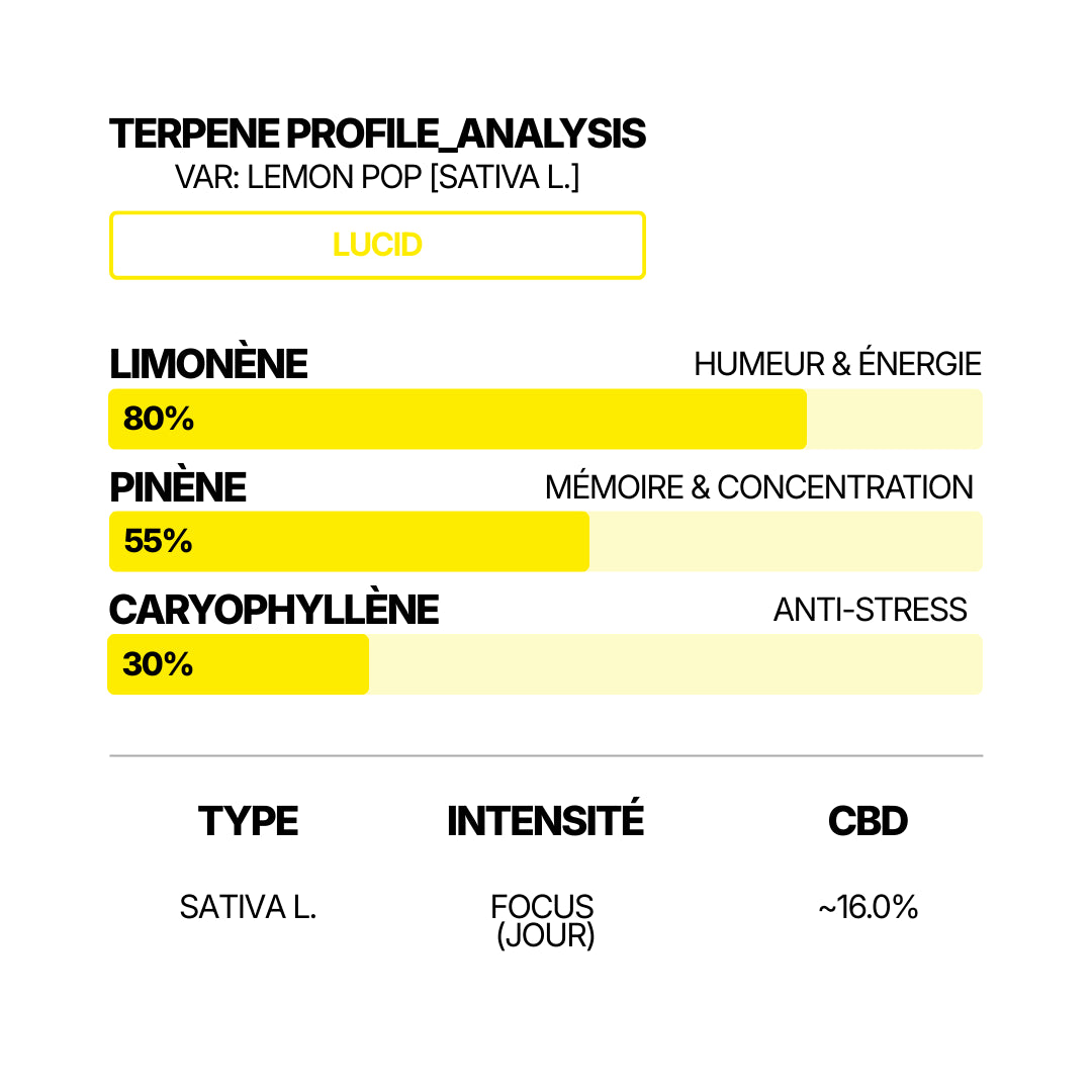 Infographie LUCID Lemon Pop