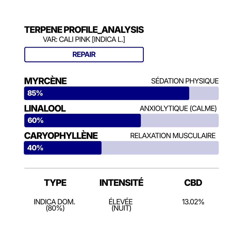 Infographie REPAIR Cali Pink