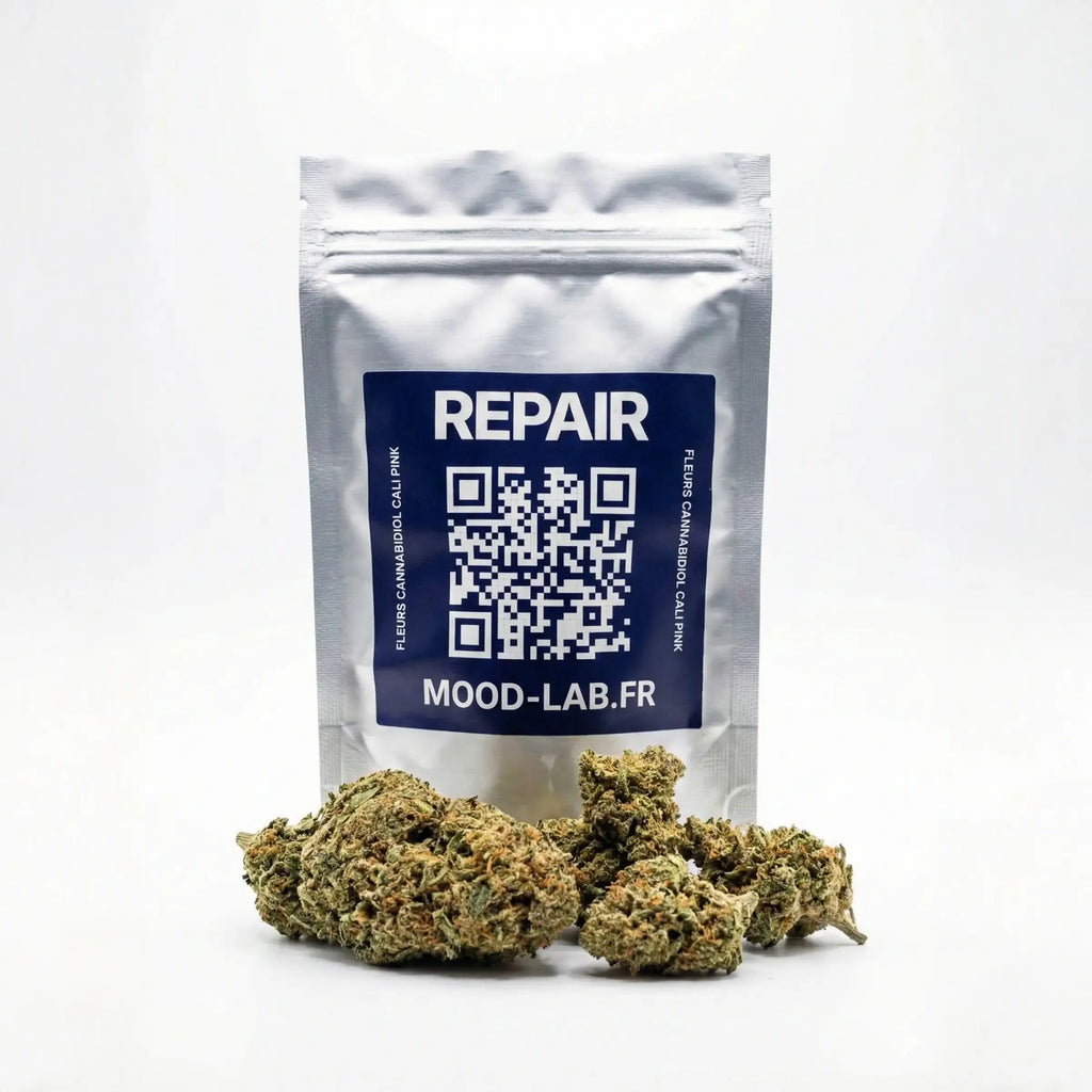 Photo Pochon REPAIR Cali Pink