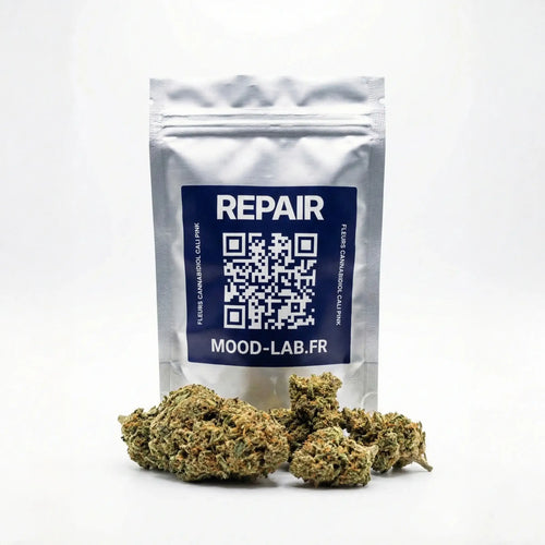 Photo Pochon REPAIR Cali Pink