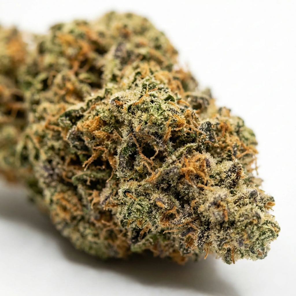 Photo Tete LUCID Lemon Pop