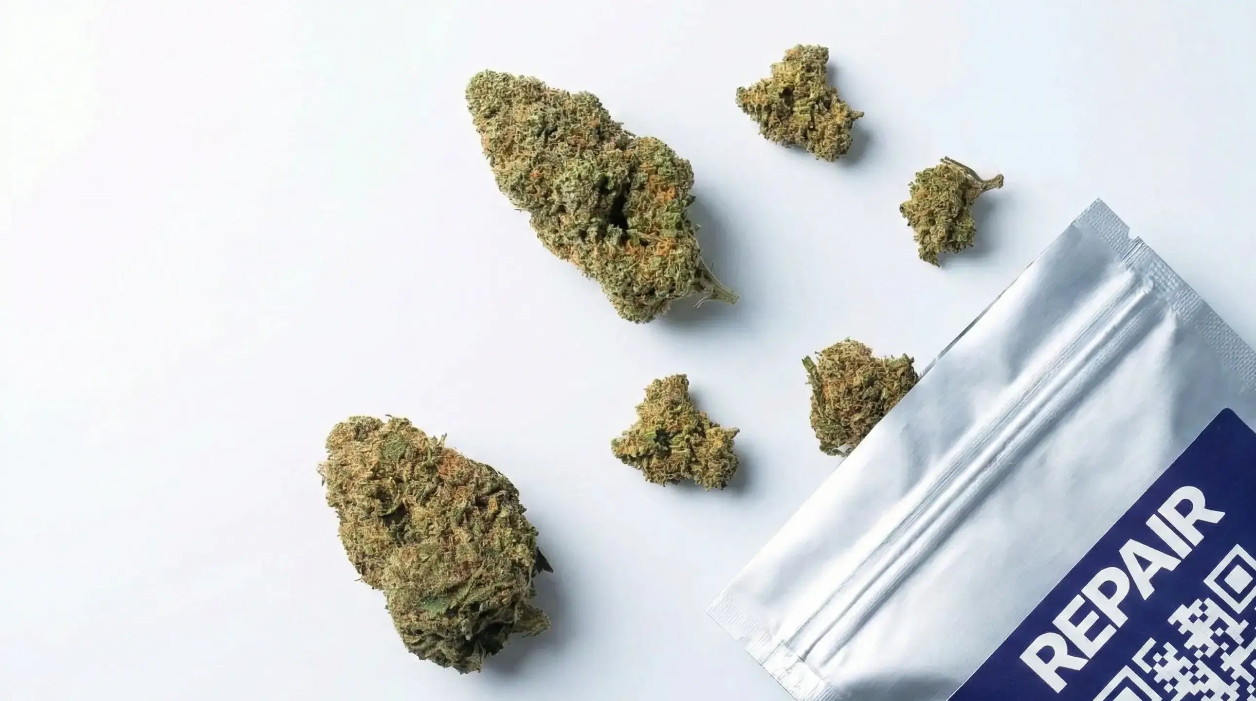 Pochon REPAIR allonge avec tetes fleurs